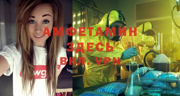 мяу мяу кристалл Няндома